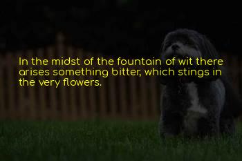 Bitter Stings Quotes