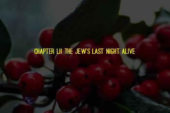 Chapter 4 Night Quotes