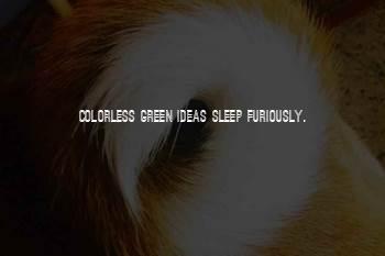 Colorless Green Ideas Sleep Furiously Quotes