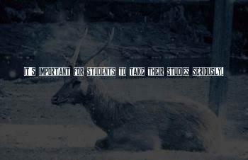 Cordie Quotes