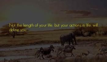 Define Wisdom Quotes