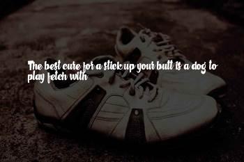 Dog With Stick Quotes