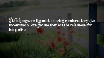 Dogs Unconditional Love Quotes