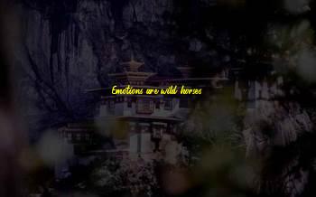 Drug Free Sayings And Quotes