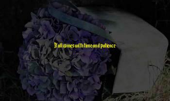 Fantom Quotes