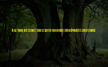 Feit Quotes