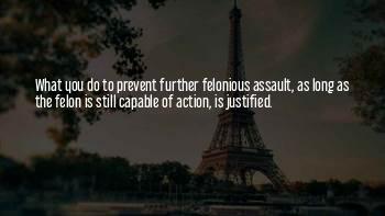 Felon Quotes