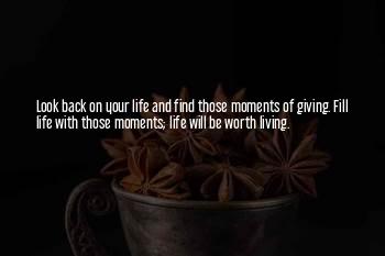 Fill Life With Moments Quotes