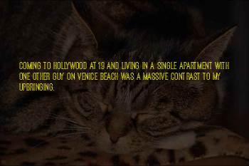 Fletch Provo Quotes
