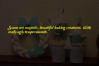 Funny Self Employed Quotes