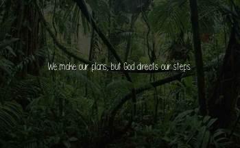 God Directs Our Steps Quotes