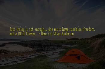 Hans Andersen Quotes