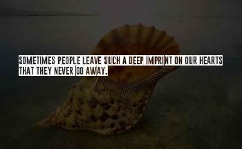 Honeycutt Quotes