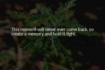 I Will Never Come Back In Your Life Quotes