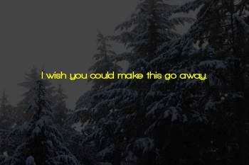 I Wish I Could Go Away Quotes