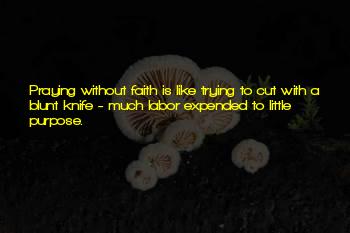Infatuation Picture Quotes