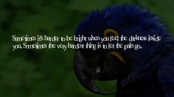 Inside Pain Quotes