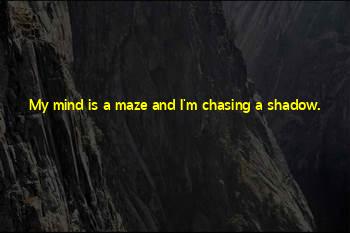Jayasiri Net Quotes