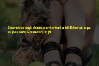 Jersey Shore Mtv Quotes