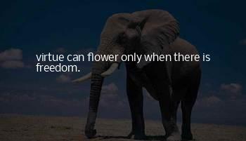 Krishnamurti Freedom From The Known Quotes
