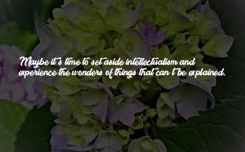 Love And Wonders Quotes