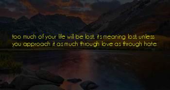 Love Lost Its Meaning Quotes