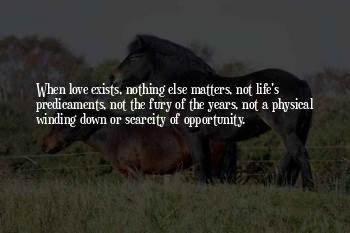 Love Matters Quotes