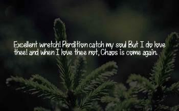 Love Thee Shakespeare Quotes