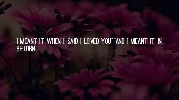 Love You In Return Quotes