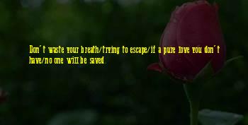 M M Thriller Quotes