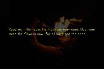 May Flowers Quotes