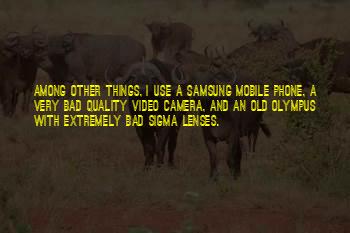 Mobile Camera Quotes