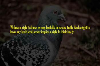 Nerrissa Quotes