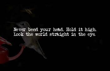 Never Bend Your Head Quotes