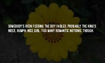 Nice N Romantic Quotes