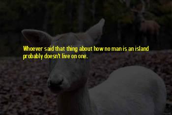 No One Man Is An Island Quotes