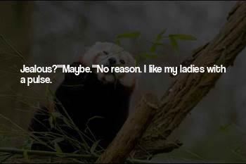 No Reason To Be Jealous Quotes
