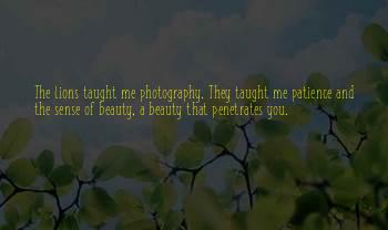 Photography Patience Quotes