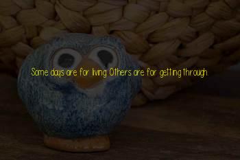 Punxsutawney Phil Groundhog Day Quotes