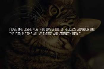 Reckless Faith Quotes