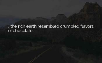 Romantic Chocolate Quotes