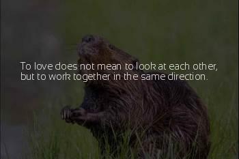 Rumkowski Quotes