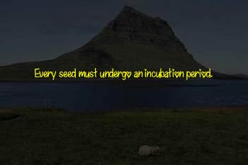 Seed Period Quotes