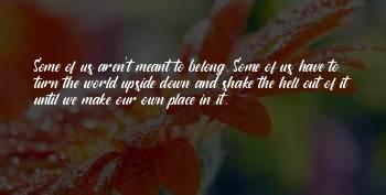 Shake Out Quotes