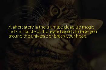 Short Magic Trick Quotes