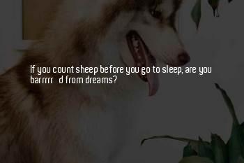 Sleep Humour Quotes