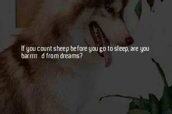 Sleep Humour Quotes