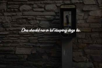 Sleeping Dogs Lie Quotes