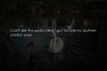 Southern Comfort Zone Quotes