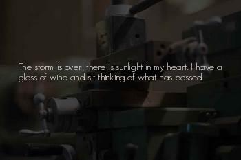 Storm Has Passed Quotes